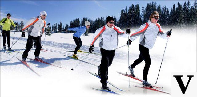 Ejemplo de dieta de esquí de fondo - ejemplo de dieta de deporte de fondo