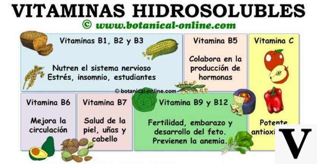 Vitamines hydrosolubles