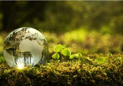 Protecting the environment: how to contribute?