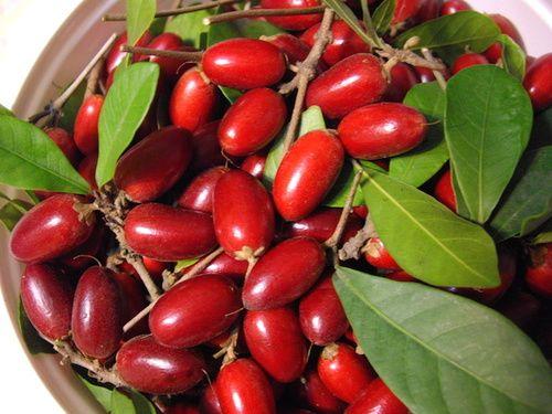 Miracle fruit: properties, benefits, how to eat