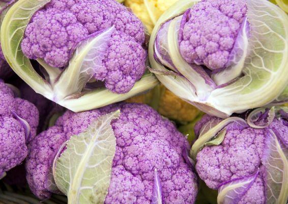 All the properties of purple cauliflower