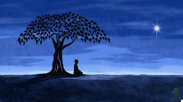 El árbol de los deseos: un cuento nos muestra cómo saboteamos nuestra vida
