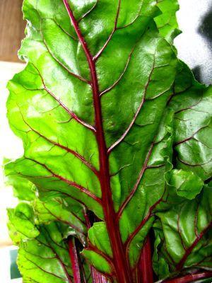Top vegetables of April, beetroot and its leaves