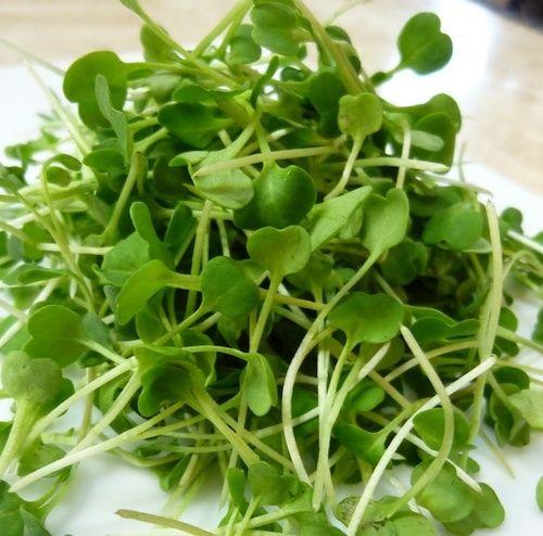 Sprouts: what they are and how they work