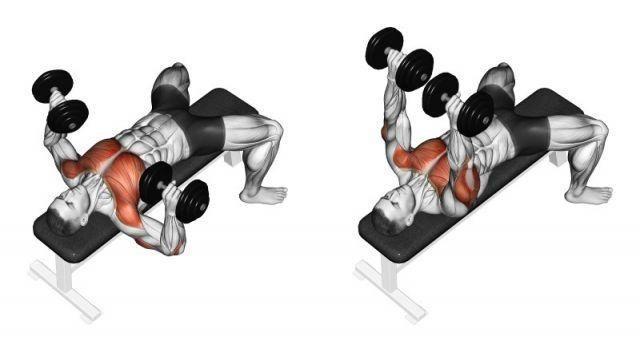 Flat bench presses with dumbbells