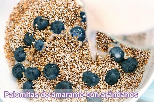 Amaranto, pseudocereal por descubrir