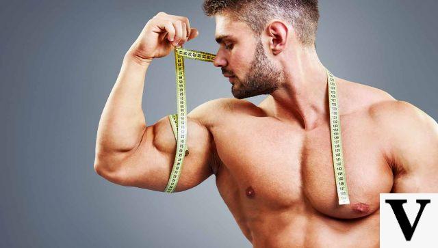 Los 5 mejores ejercicios para bíceps más grandes