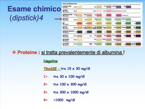 Rapport albumine-créatinine et protéine-créatinine dans l'urine