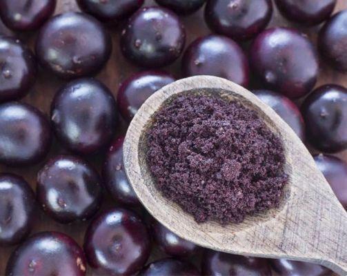 Açai berries: the superfruit of the Amazon