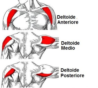 Ejercicios de hombros de gimnasio | Entrenamiento deltoides