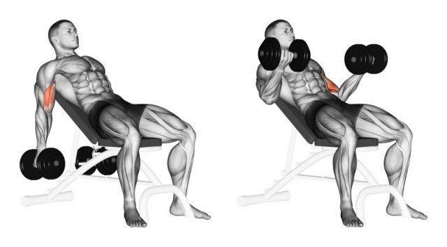 Dumbbell curls with supination on an incline bench