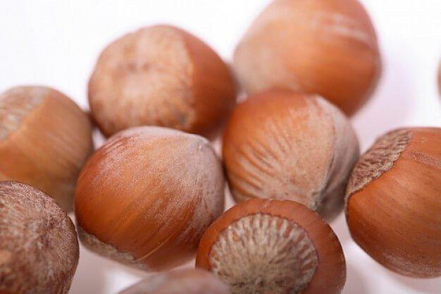 Hazelnuts, properties and how to use them