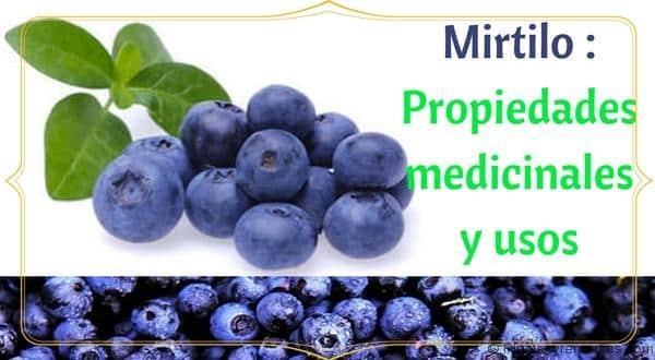 Healing properties of blueberries