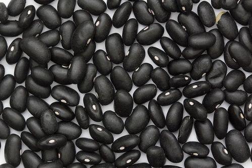 Black beans: properties, nutritional values, calories