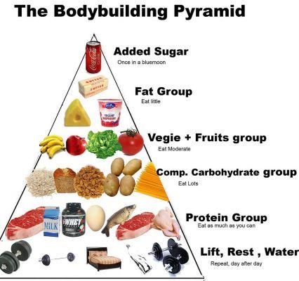 Diet and body building, example