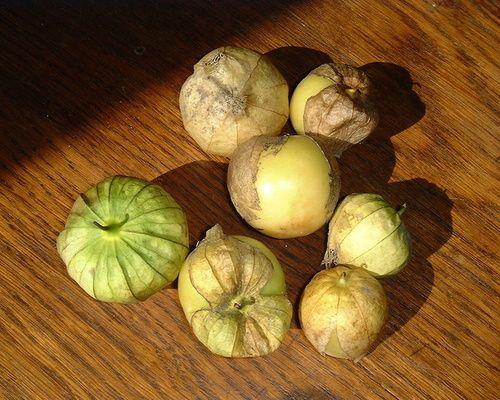 Tomatillo: properties, benefits, how to eat