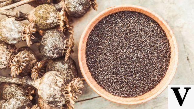 Cumin, flax & co: here are the 8 healthiest seeds and 8 gourmet recipes