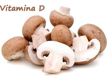 Vitamina D em cogumelos
