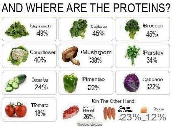 Comment remplacer les protéines de viande