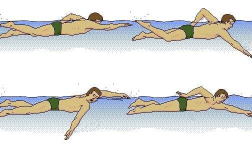 Freestyle Swimming | Correct Execution and Muscles Involved