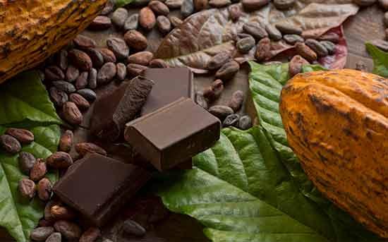 Raw cocoa and Moringa: the properties of this raw chocolate