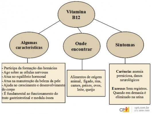 Reflexiones sobre el consumo de vitamina B12