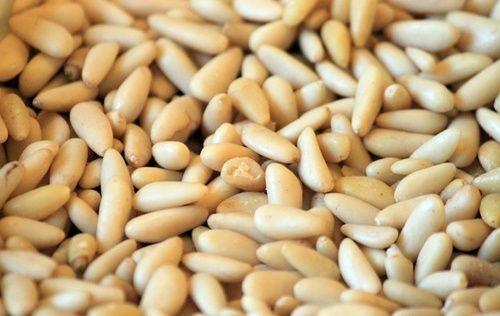Pine nuts, properties and how to use them