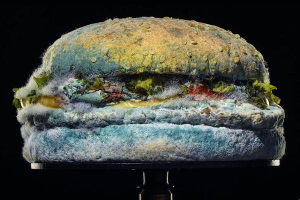 Burger King® and the moldy sandwich
