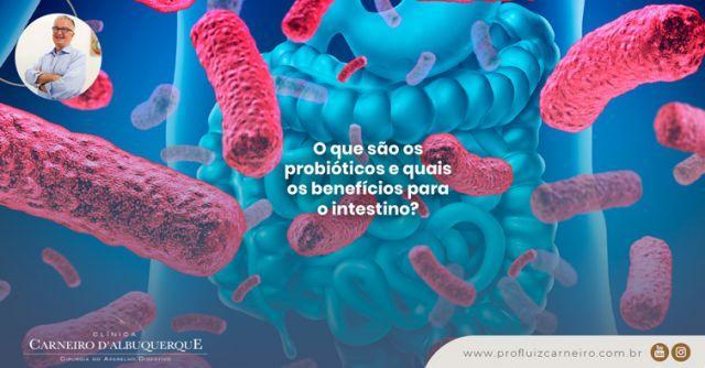 Probióticos: benefícios, contra-indicações, onde são encontrados