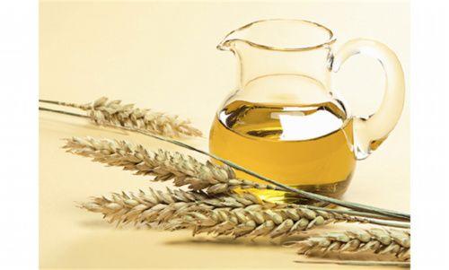 Germe de blé : propriétés, valeurs nutritionnelles, calories