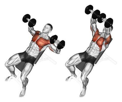 Incline bench press with dumbbells