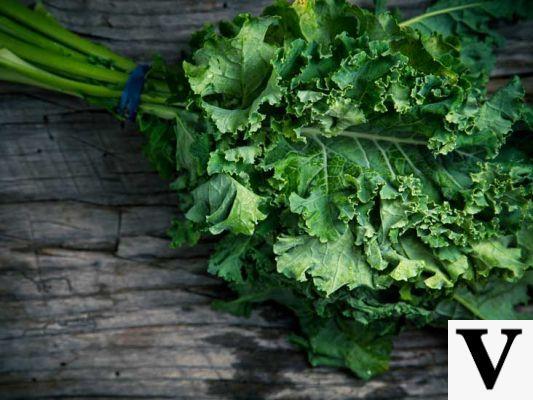 Kale : les bienfaits pour la santé
