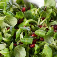 Salade : Voici 5 variétés dont vous ne pouvez plus vous passer