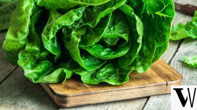 Salade : Voici 5 variétés dont vous ne pouvez plus vous passer