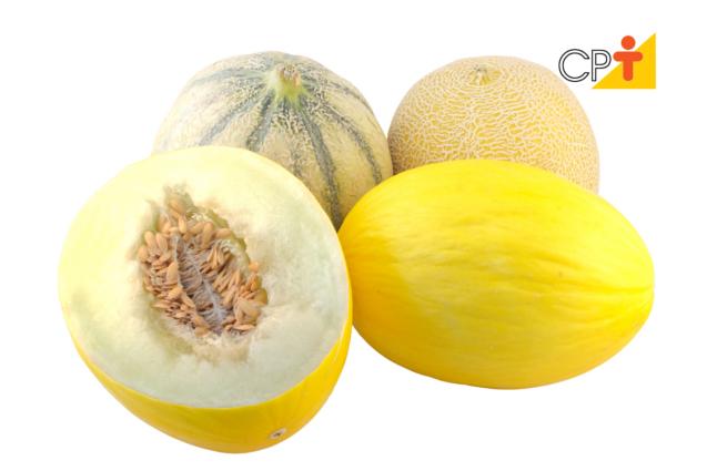 Melon, the varieties to know