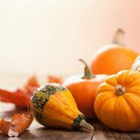 Diet: light menu with pumpkin