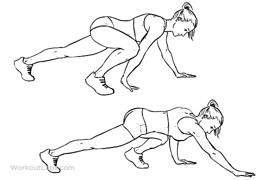 Bear crawl | How is it done? Muscles involved and common mistakes