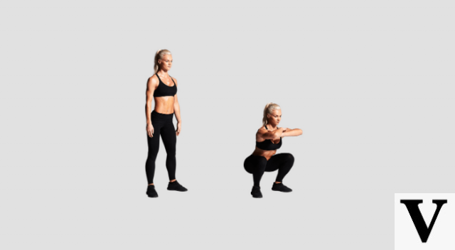 Free body exercises | Bodyweight training