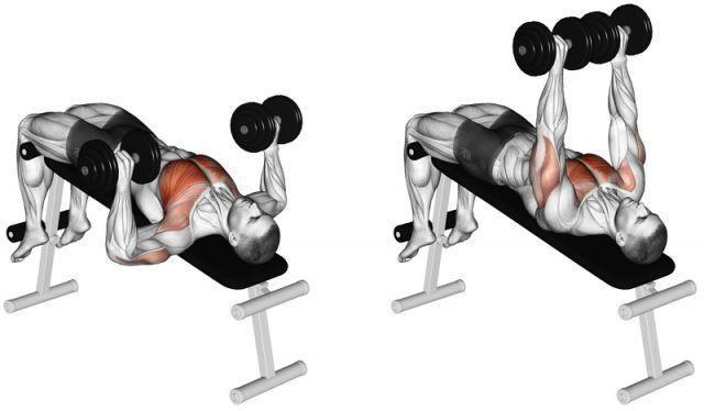Relaxations on reclining bench with dumbbells