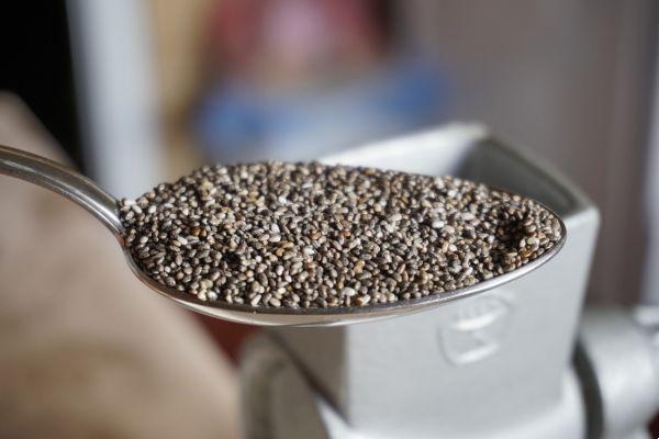Ten ideas for integrating chia seeds into your diet