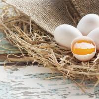 High cholesterol: the foods to avoid