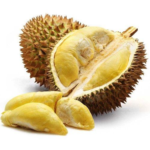 Durian: properties, benefits, how to eat