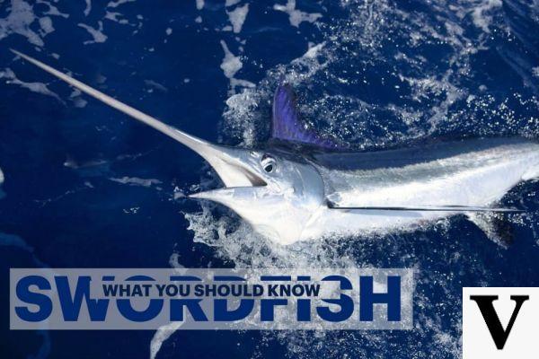 Swordfish: because it prevents aging of the skin, brain and teeth