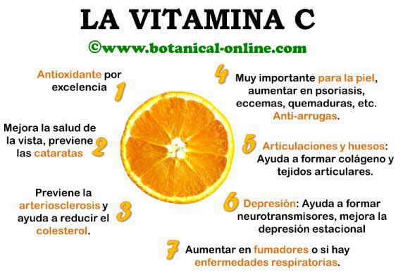 Vitamina C: Resumen