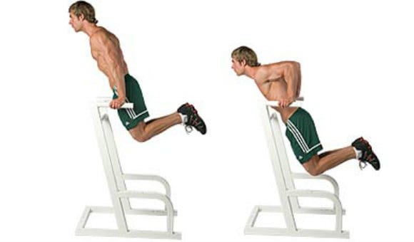 Dip Machine | How Do You Perform Stretches Or Dips On The Machine?