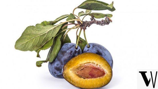 Figs and plums, seasonal sweets