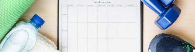 Downloadable training diary: how to organize it