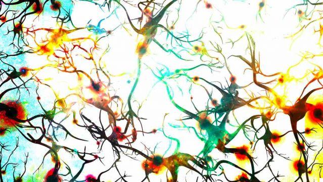 Neuroplasticidad: cómo podemos cambiar nuestro cerebro