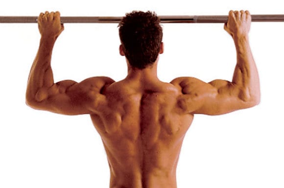 Shoulder blades | Why Are They Important For Training? Exercises