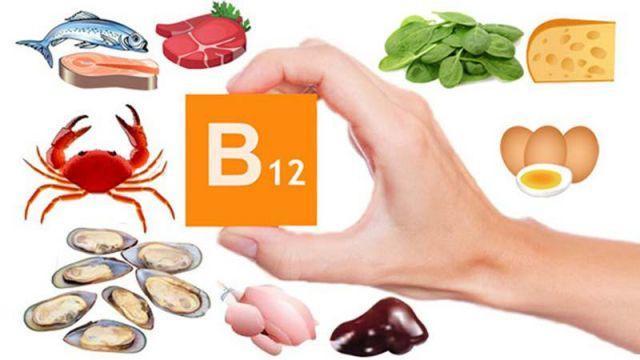 ¿Dónde se encuentra la vitamina B12?